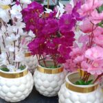 بوت بابلز ورد فيكس كبير